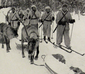 finske tropper med rener som transport dyr